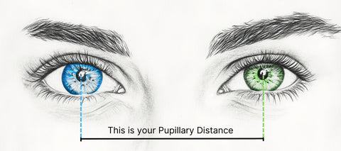 The best way to Measure Your Pupillary Distance: A Information for Massive Heads